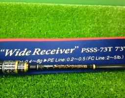 エバーグリーン・ワイドレシーバー　ダイワ・月下美人ＡＧＳ・エメラルダスＡＧＳ　ビッグベイト　（茨木店）